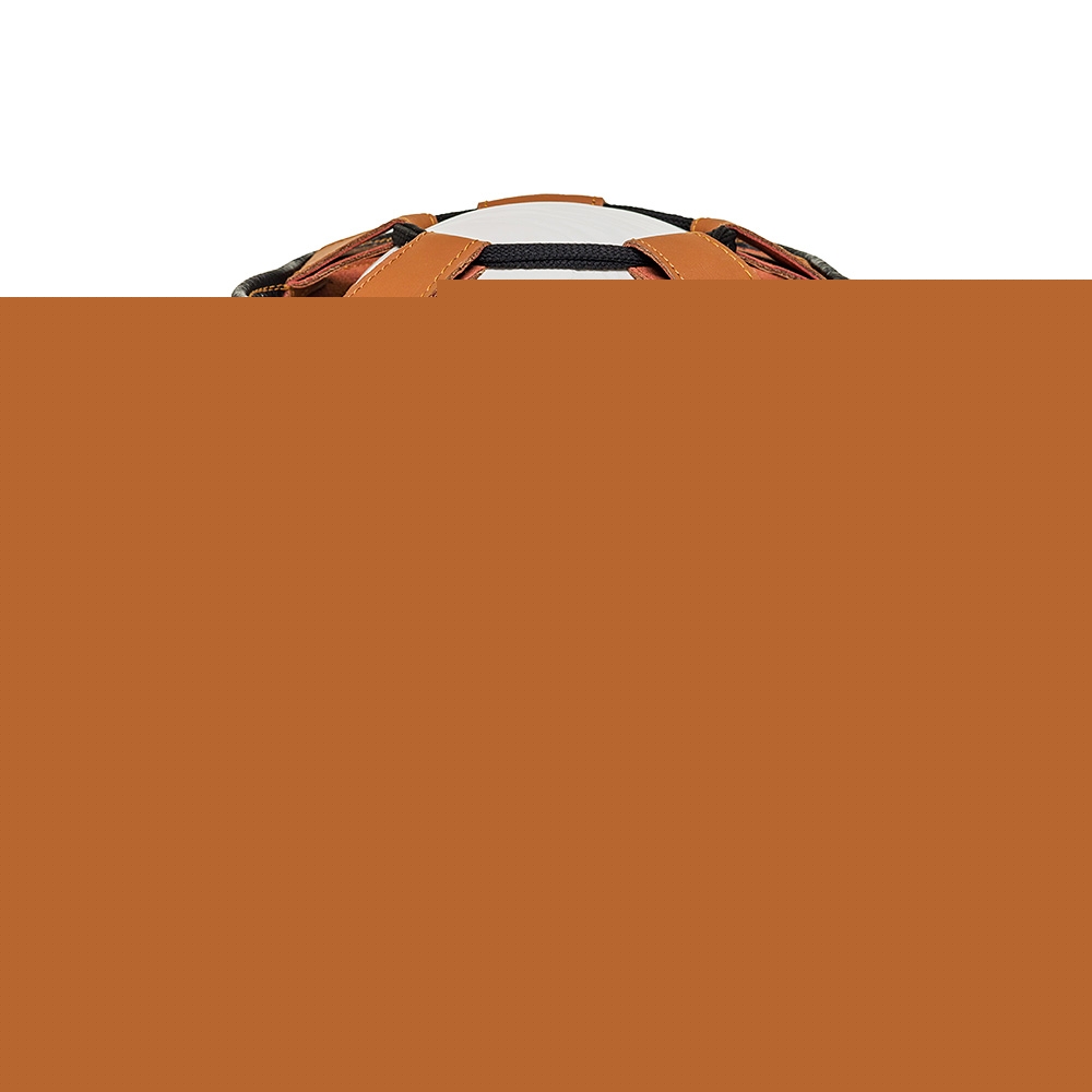 Шлем боксерский LEADERS LS MEX HERITAGE BR/BG