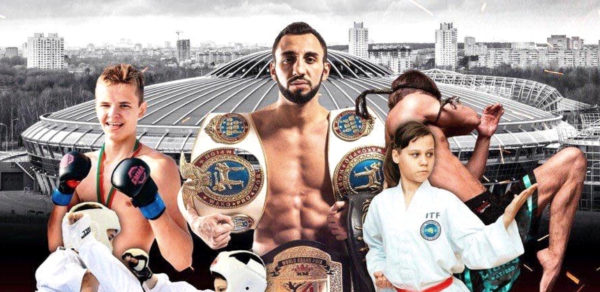 Профессиональным турнир MMA