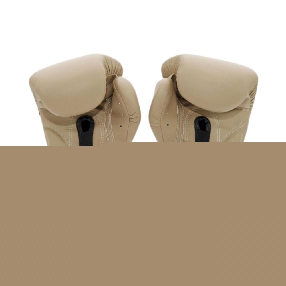 Боксерские перчатки BGV25 F-DAY2 FAIRTEX LIMTED EDITION