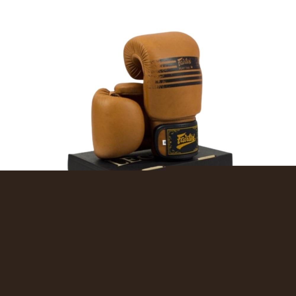 Боксерские перчатки BGV-21 "LEGACY" FAIRTEX