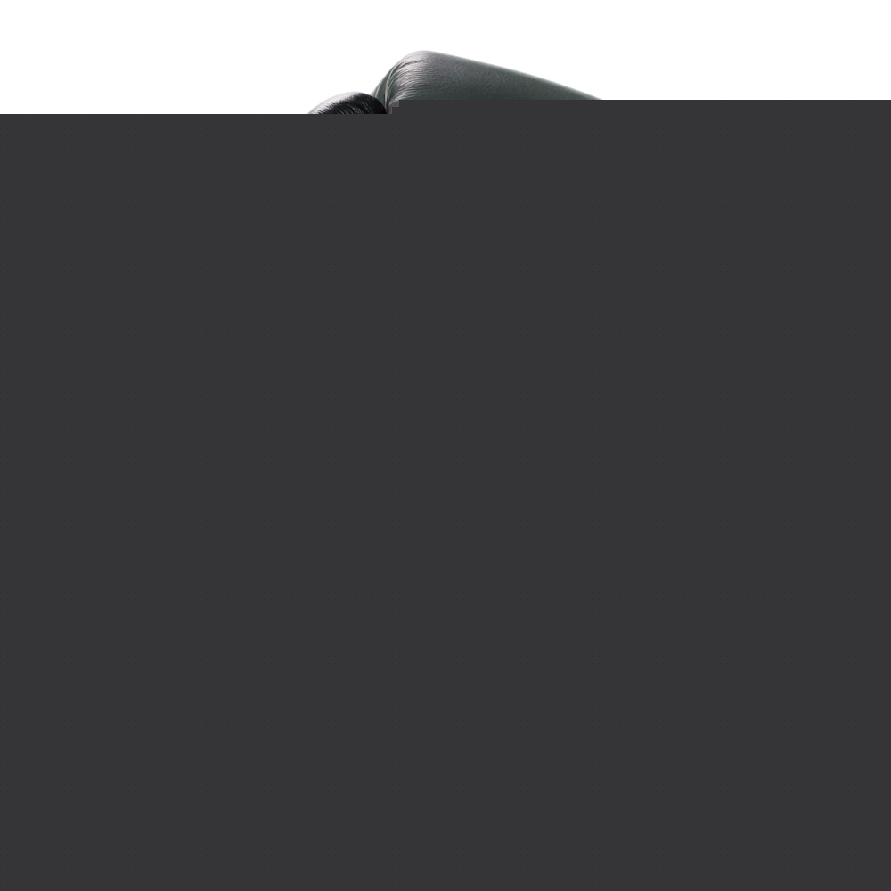 Боксерские перчатки KING PRO BOXING BG STAR 6