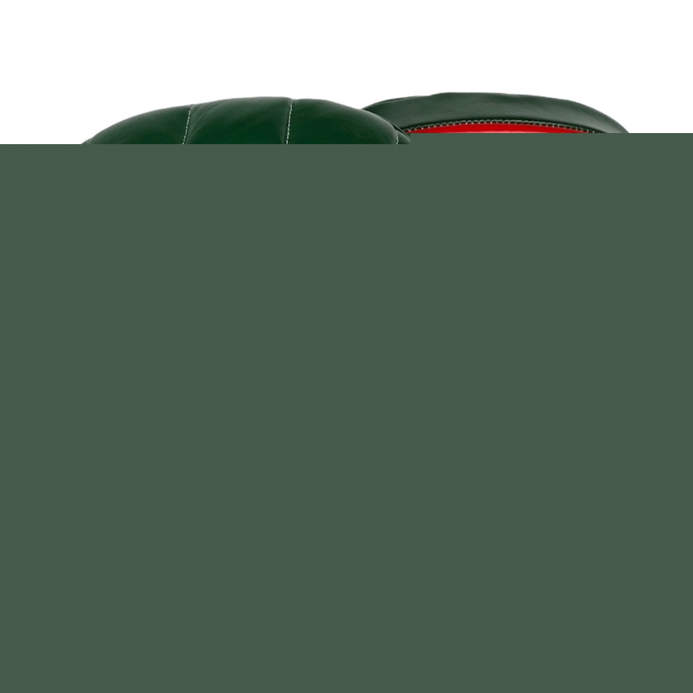 Лапы тренерские LEADERS tactical custom