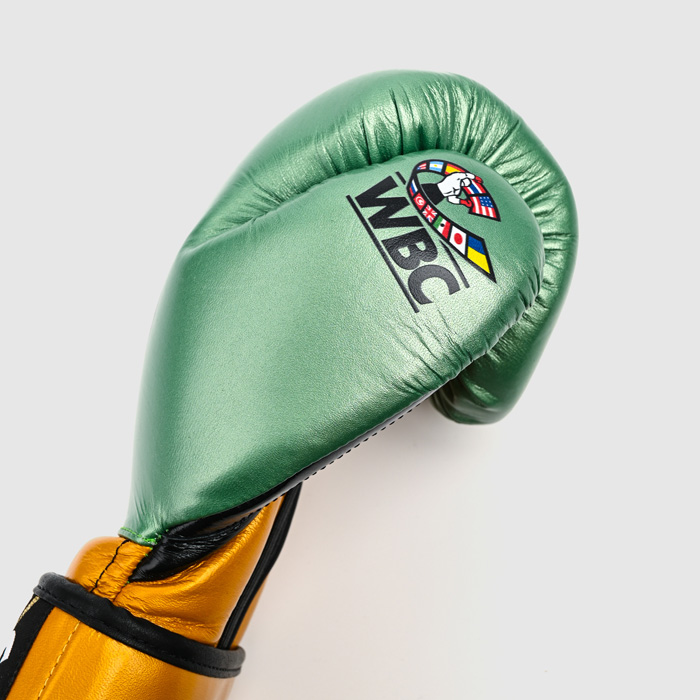 Тренировочные перчатки Cleto Reyes E61 WBC