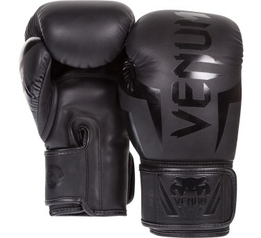 Боксерские перчатки VENUM ELITE - NEO MATTE/BLACK